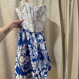 Lilly Pulitzer Blue‎ and White Ferris Dress